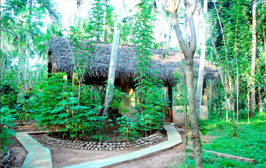 Herbal and Spice Garden 