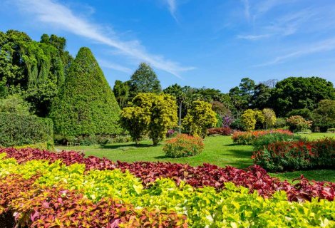 Haggala Flower Garden 